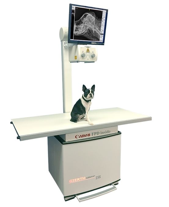 Стационарная рентгеновская система для ветеринарии Стационарная рентгеновская система для ветеринарии GIERTH HF 500 smove DR