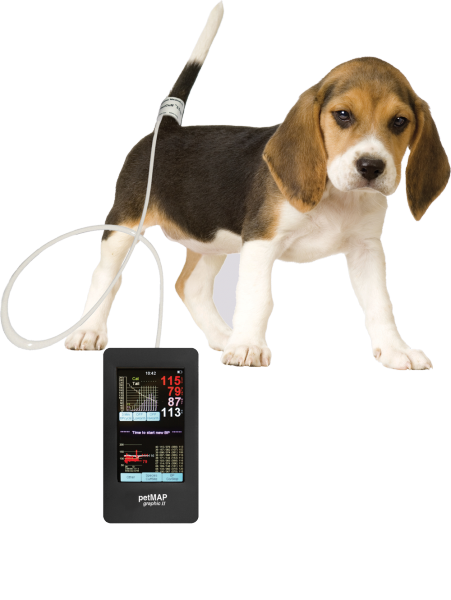 Тонометр petMap Graphic II