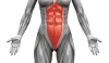 Salus-Talent-Pro-AES