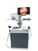 Клевер УОРЛ-1