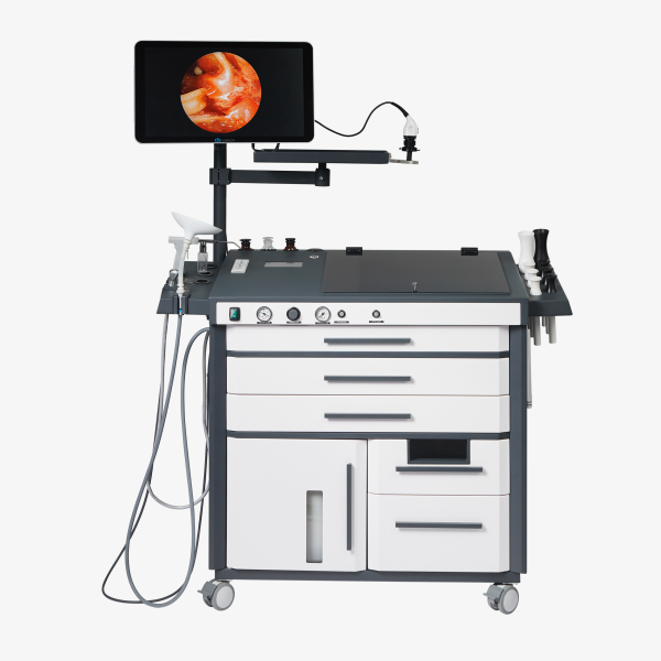 DS.AssistENT Europe