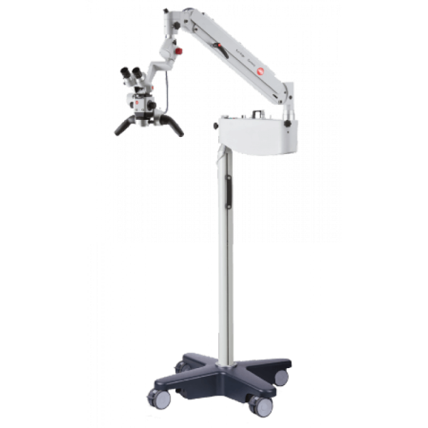 SOM 62 Basiс Dental