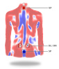 DIERS Formetric 4D (10 кадров)