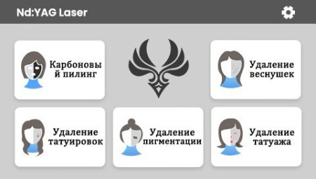 Неодимовый лазер UNT Tech ND-YAG Pro4