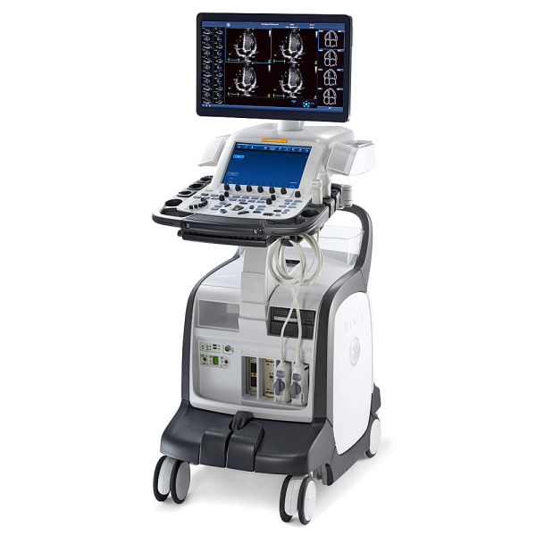 GE Vivid E95