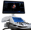GE Vivid E95
