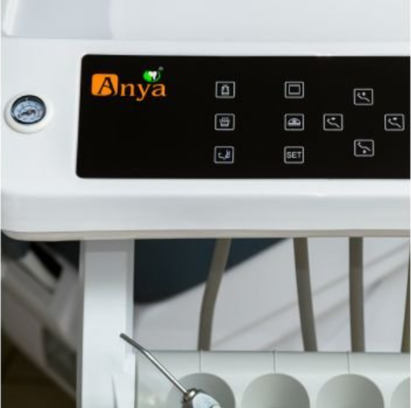 Anya AY-A 3600 нижняя подача