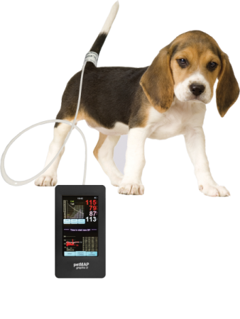 Тонометр Тонометр petMap Graphic II