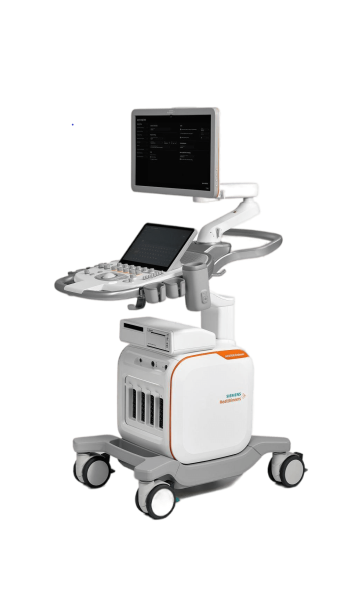 Siemens Acuson Redwood